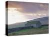 Farm Building, Swaledale, Yorkshire Dales National Park, Yorkshire, England, UK, Europe-Mark Mawson-Stretched Canvas