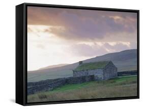 Farm Building, Swaledale, Yorkshire Dales National Park, Yorkshire, England, UK, Europe-Mark Mawson-Framed Stretched Canvas