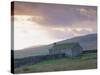 Farm Building, Swaledale, Yorkshire Dales National Park, Yorkshire, England, UK, Europe-Mark Mawson-Stretched Canvas