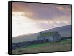 Farm Building, Swaledale, Yorkshire Dales National Park, Yorkshire, England, UK, Europe-Mark Mawson-Framed Stretched Canvas