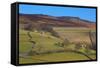 Farm Buildings and Walls-Frank Fell-Framed Stretched Canvas