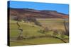 Farm Buildings and Walls-Frank Fell-Stretched Canvas