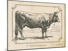 Farm Bull I-Gwendolyn Babbitt-Mounted Art Print