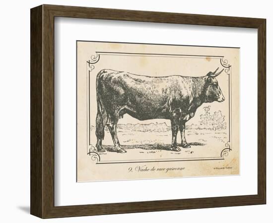 Farm Bull I-Gwendolyn Babbitt-Framed Art Print