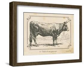 Farm Bull I-Gwendolyn Babbitt-Framed Art Print