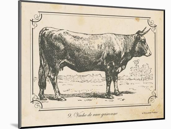 Farm Bull I-Gwendolyn Babbitt-Mounted Art Print