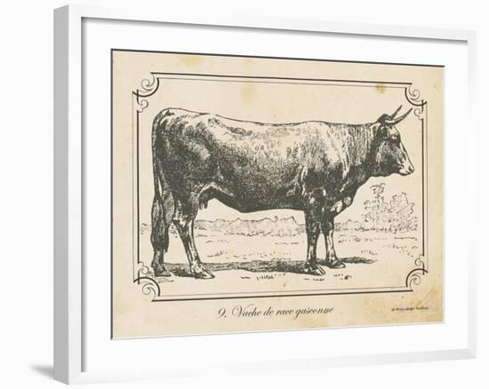 Farm Bull I-Gwendolyn Babbitt-Framed Art Print