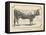 Farm Bull I-Gwendolyn Babbitt-Framed Stretched Canvas