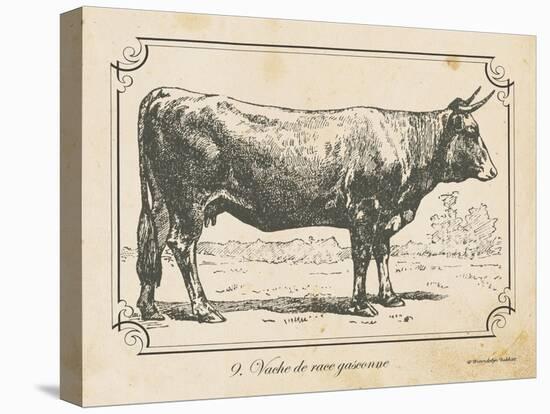 Farm Bull I-Gwendolyn Babbitt-Stretched Canvas