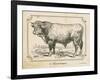 Farm Bull II-Gwendolyn Babbitt-Framed Art Print