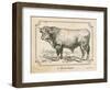 Farm Bull II-Gwendolyn Babbitt-Framed Art Print