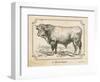 Farm Bull II-Gwendolyn Babbitt-Framed Art Print