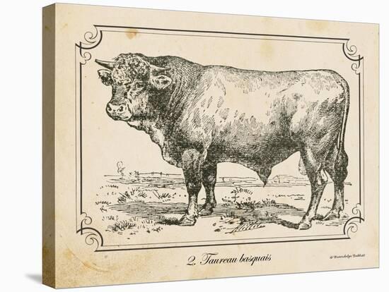 Farm Bull II-Gwendolyn Babbitt-Stretched Canvas