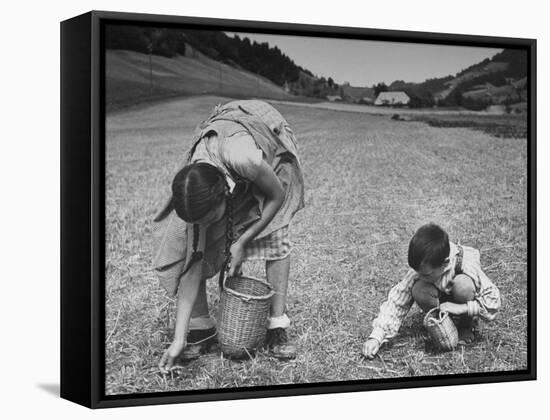 Farm Children Gleaning Field After Wheat Harvest-William Vandivert-Framed Stretched Canvas