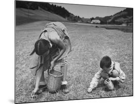 Farm Children Gleaning Field After Wheat Harvest-William Vandivert-Mounted Photographic Print