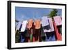 Farm, Clothesline, Towels-Catharina Lux-Framed Photographic Print