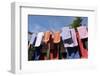 Farm, Clothesline, Towels-Catharina Lux-Framed Photographic Print