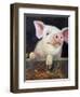 Farm Club II-Carolyne Hawley-Framed Art Print