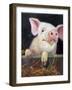 Farm Club II-Carolyne Hawley-Framed Art Print