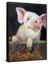 Farm Club II-Carolyne Hawley-Framed Stretched Canvas