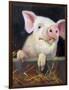 Farm Club II-Carolyne Hawley-Framed Art Print