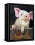 Farm Club II-Carolyne Hawley-Framed Stretched Canvas