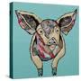 Farm Collage on Teal I-Gina Ritter-Stretched Canvas