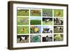 Farm Collage-miff32-Framed Art Print