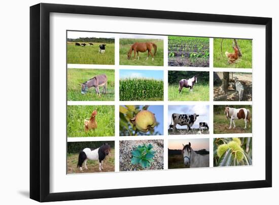 Farm Collage-miff32-Framed Art Print