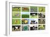 Farm Collage-miff32-Framed Art Print