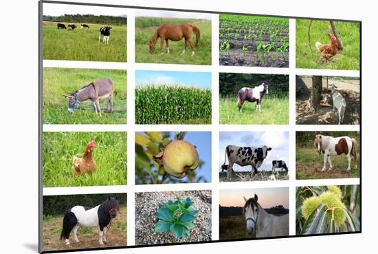 Farm Collage-miff32-Mounted Art Print