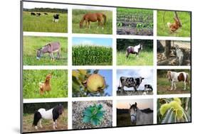 Farm Collage-miff32-Mounted Art Print