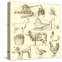 Farm Collection-canicula-Stretched Canvas