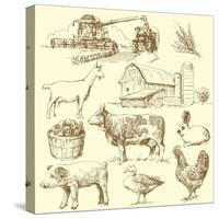 Farm Collection-canicula-Stretched Canvas