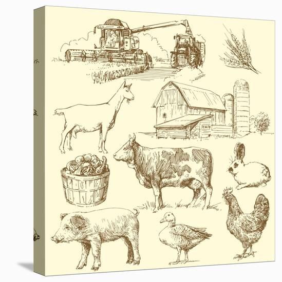 Farm Collection-canicula-Stretched Canvas