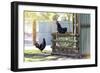 Farm Conversations-Incredi-Framed Giclee Print