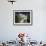 Farm Converted into Holiday Home, Drome, Provence, France-Duncan Maxwell-Framed Photographic Print displayed on a wall