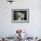 Farm Converted into Holiday Home, Drome, Provence, France-Duncan Maxwell-Framed Photographic Print displayed on a wall