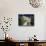 Farm Converted into Holiday Home, Drome, Provence, France-Duncan Maxwell-Mounted Photographic Print displayed on a wall