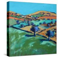 Farm Cornwall, 2021 (acrylic on board)-Paul Powis-Stretched Canvas