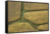 Farm Crops, Rukuhia, Near Hamilton, Waikato, North Island, New Zealand, Aerial-David Wall-Framed Stretched Canvas