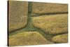 Farm Crops, Rukuhia, Near Hamilton, Waikato, North Island, New Zealand, Aerial-David Wall-Stretched Canvas