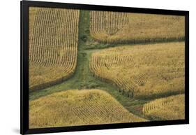 Farm Crops, Rukuhia, Near Hamilton, Waikato, North Island, New Zealand, Aerial-David Wall-Framed Photographic Print