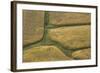 Farm Crops, Rukuhia, Near Hamilton, Waikato, North Island, New Zealand, Aerial-David Wall-Framed Photographic Print