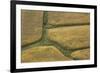 Farm Crops, Rukuhia, Near Hamilton, Waikato, North Island, New Zealand, Aerial-David Wall-Framed Photographic Print