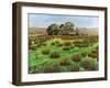 Farm Cumbria, 2008-Trevor Neal-Framed Giclee Print