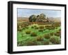 Farm Cumbria, 2008-Trevor Neal-Framed Giclee Print