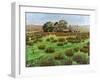 Farm Cumbria, 2008-Trevor Neal-Framed Giclee Print