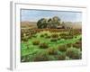 Farm Cumbria, 2008-Trevor Neal-Framed Giclee Print