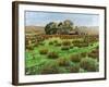 Farm Cumbria, 2008-Trevor Neal-Framed Giclee Print